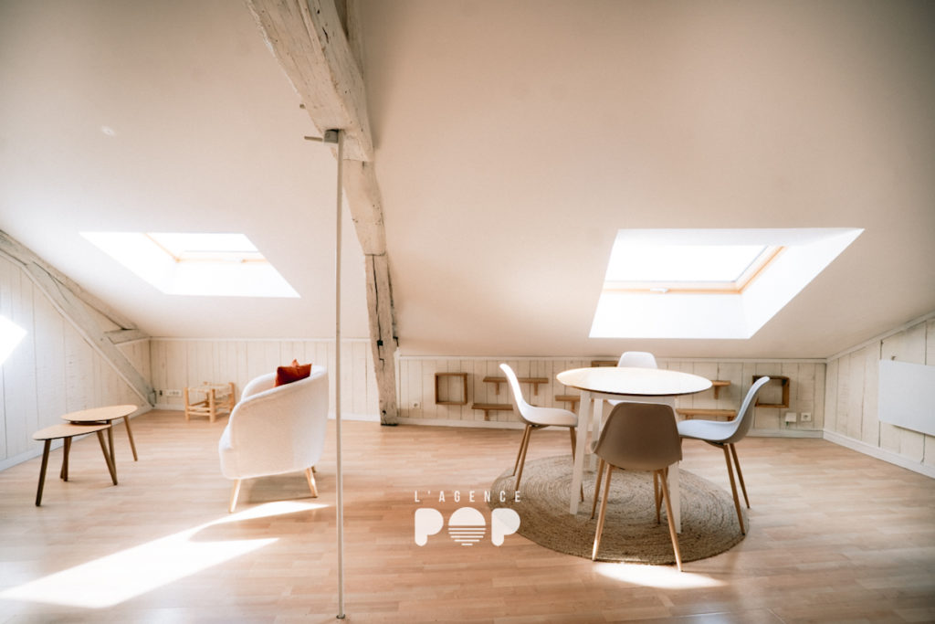 Appartement T3, 2 chambres à Périgueux - photo 3