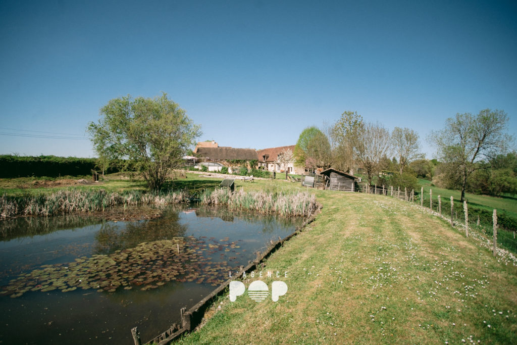 Bâtisse avec chambres d&rsquo;hôtes, piscine, dépendances et terrain à Thenon - photo 17